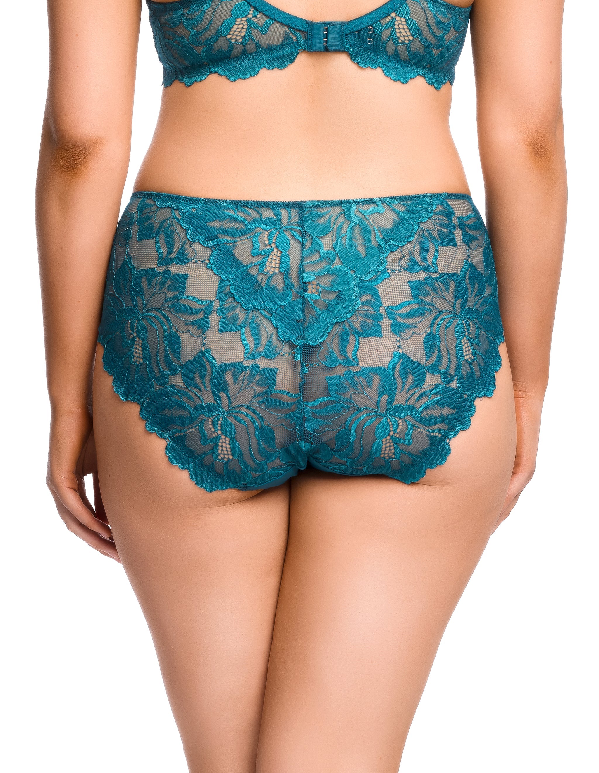 Sainted Sisters Zhara Hi Cut Brief