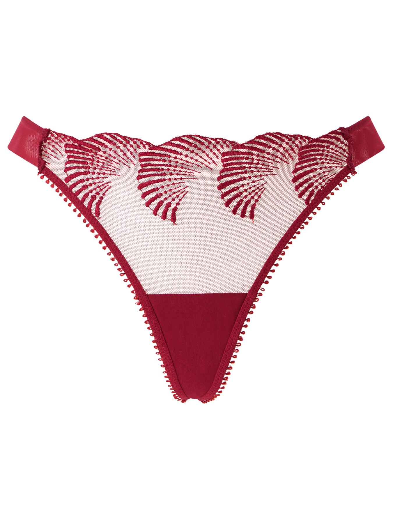 Knickerbox Lana String