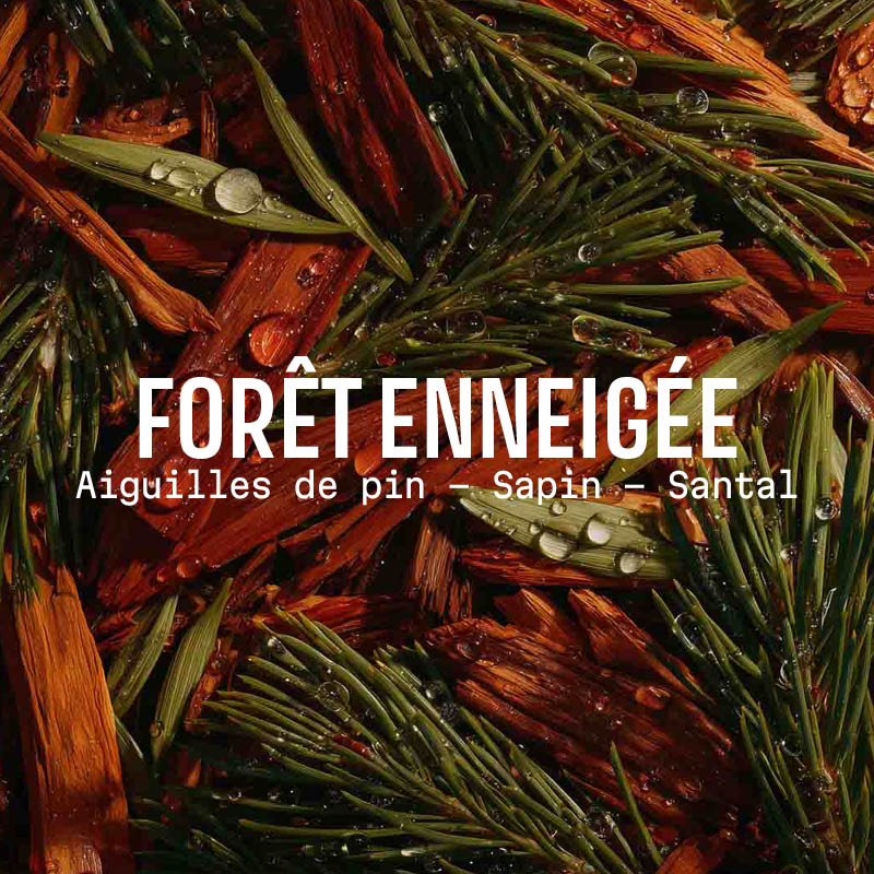 XMAS EXTRA-GENTLE SOAP SNOWY FOREST 200G