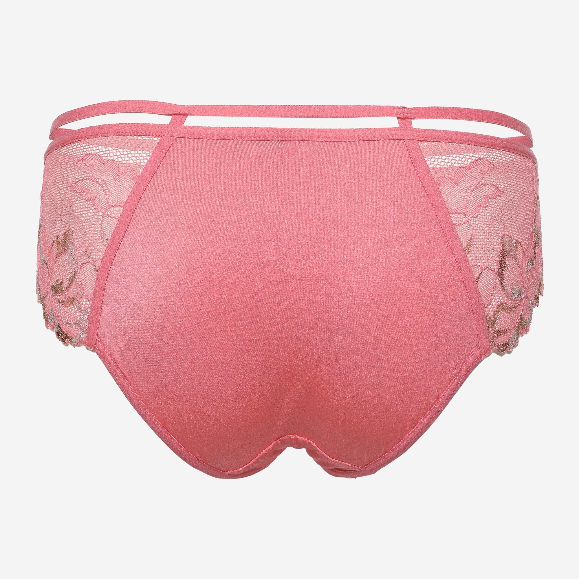 Ls Lingerie Sexy Hipster Briefs