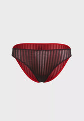 Ls Lingerie High Leg Brief