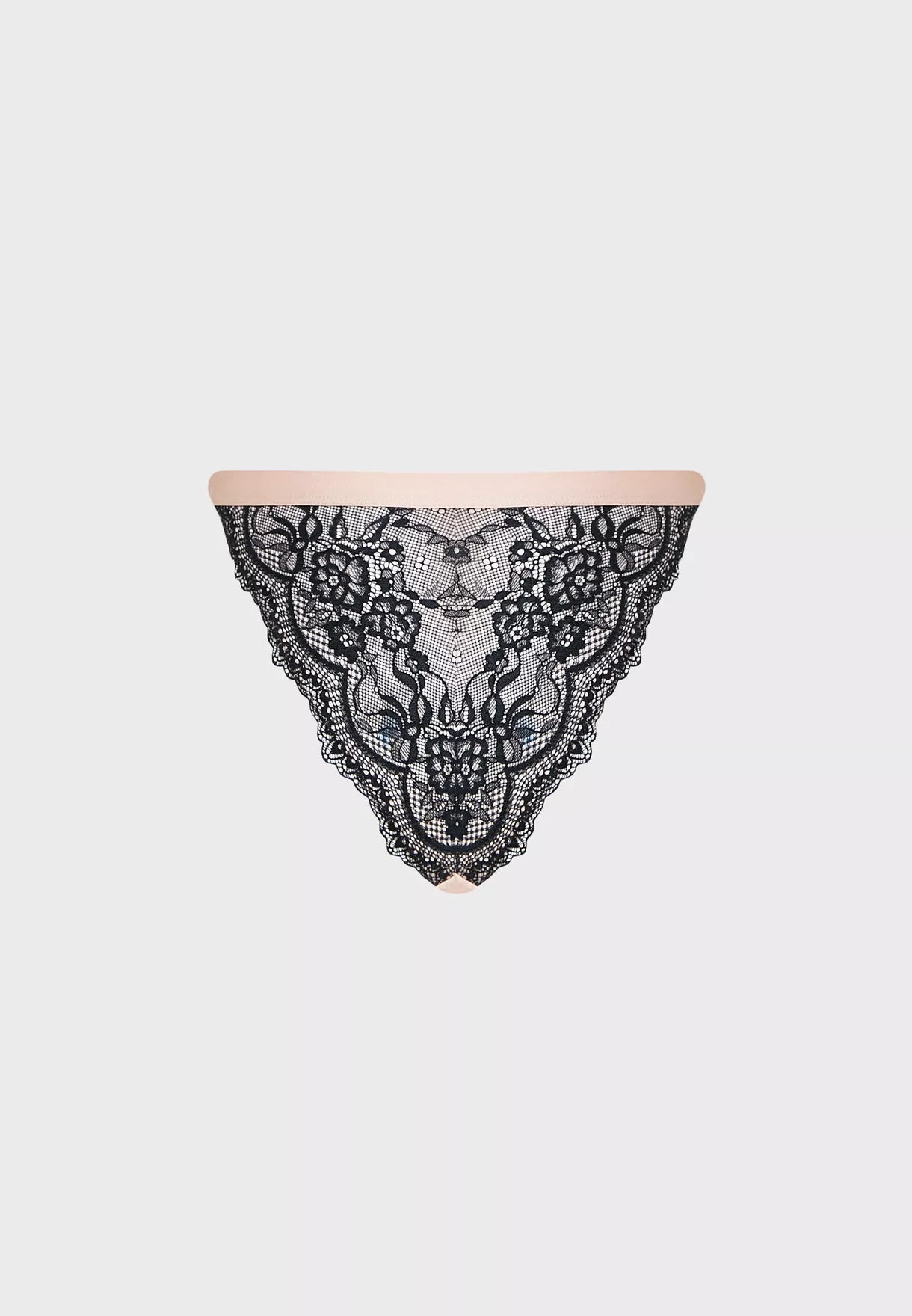 Ls Lingerie High Leg Brief