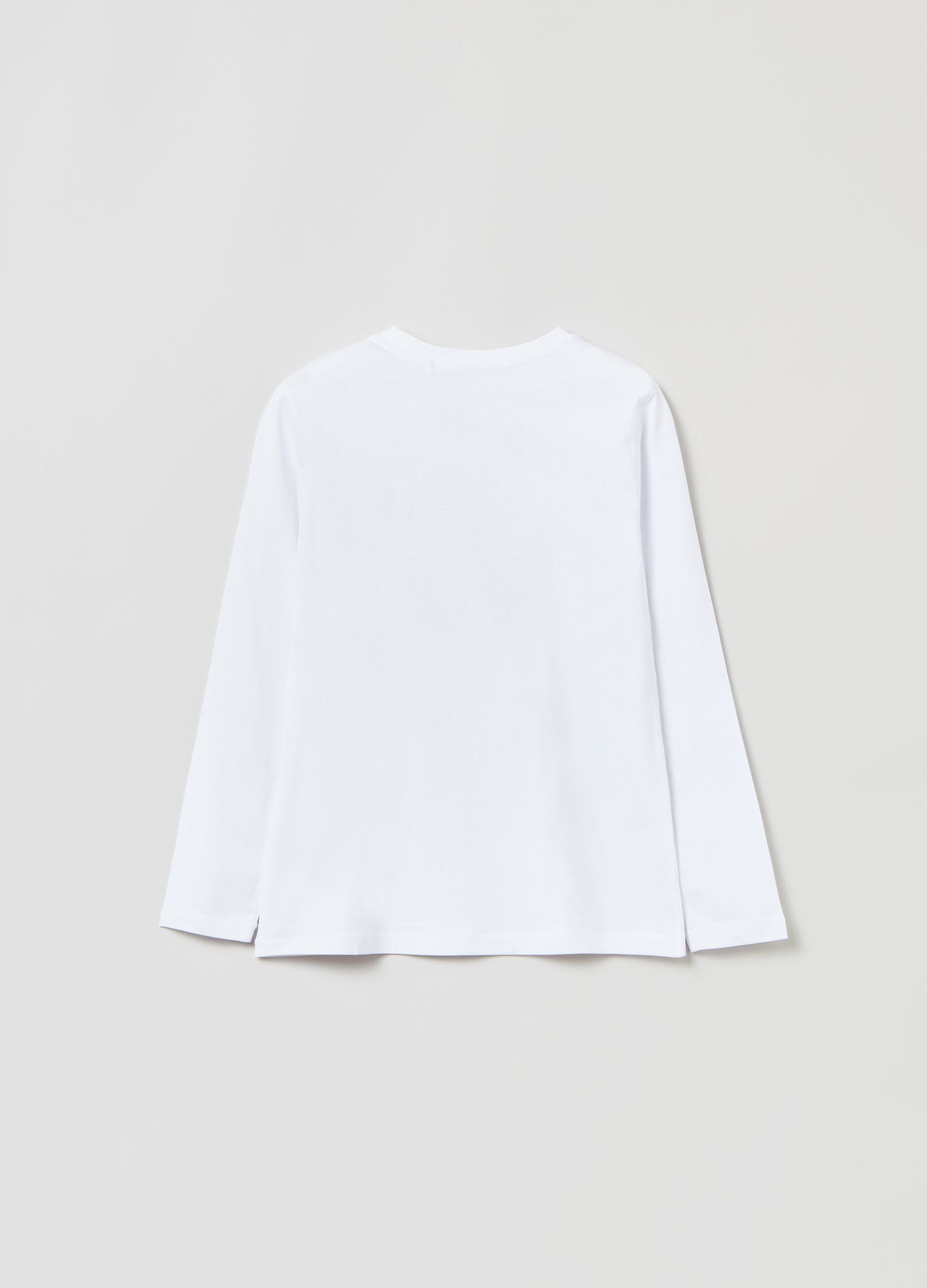 Ovs Grand&Hills Long-Sleeved T-Shirt With Trekking Print