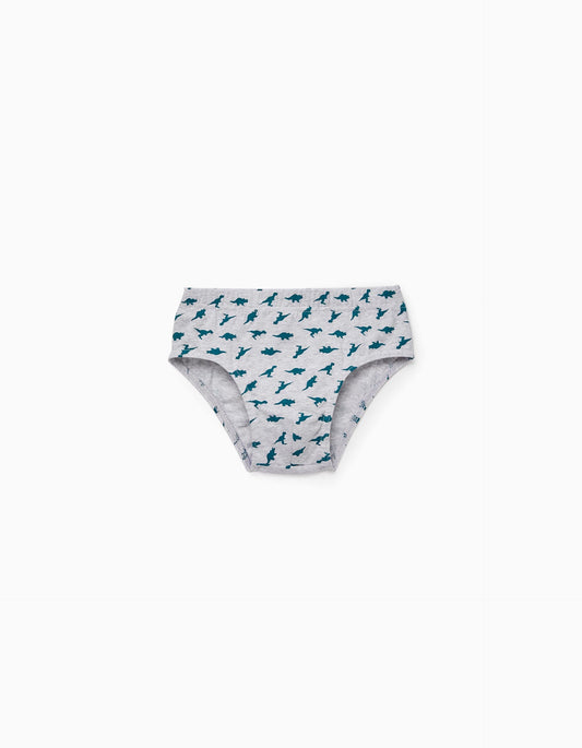 Zippy Boys 'Dinosaurs' 5-Pack Cotton Briefs