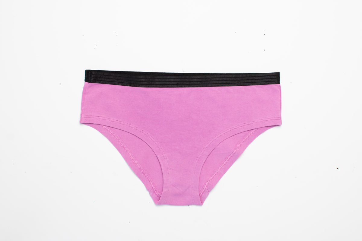 Ls Lingerie Trendy Hipster Briefs