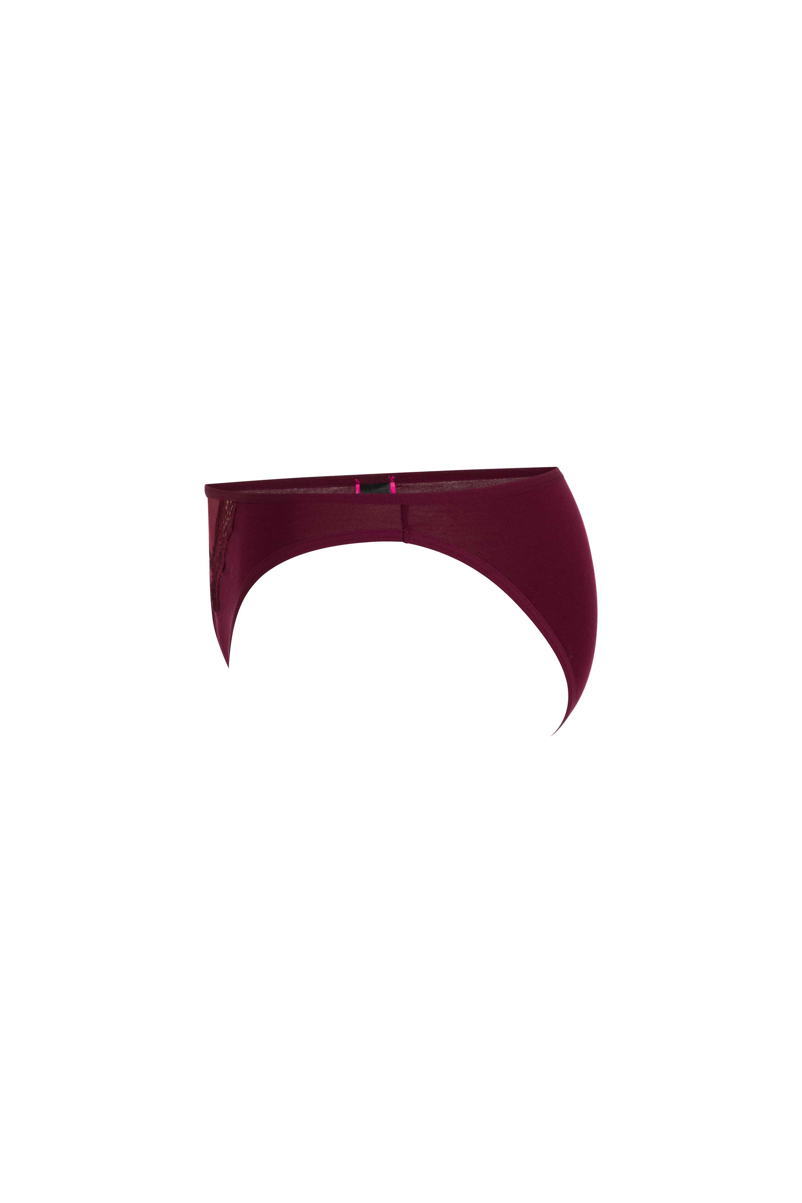 Ls Lingerie Lace Detail Briefs